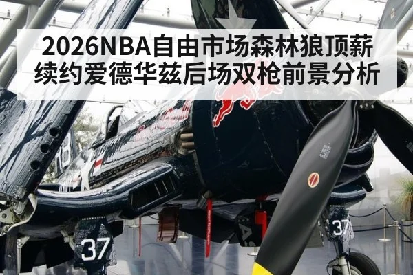 2026NBA自由市场森林狼顶薪续约爱德华兹后场双枪前景分析