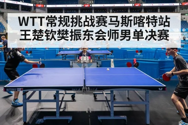 WTT常规挑战赛马斯喀特站 王楚钦樊振东会师男单决赛